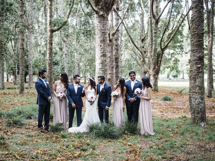 Wedding party among silver birch trees on a lawn scattered with autumn leaves