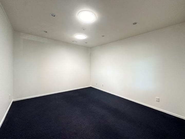 Plain carpeted room with two ceiling lights