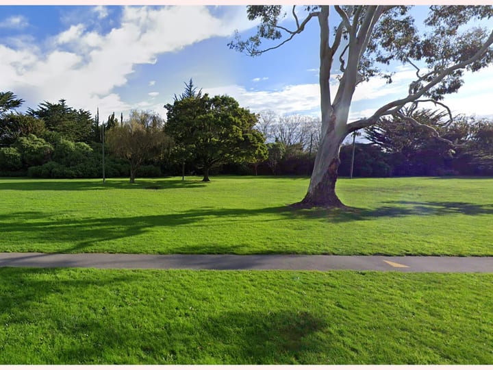 Open grass reserve with mature trees and path
