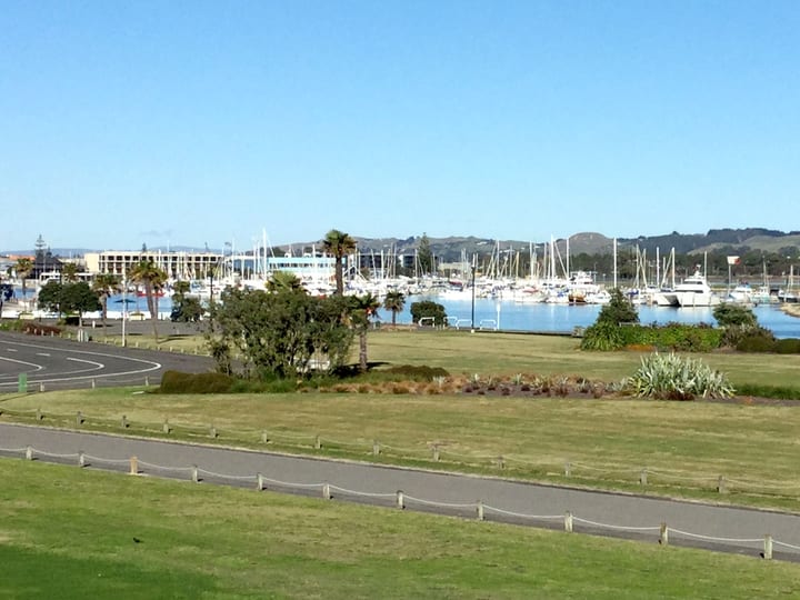 View across lawn to marina with moored vessels