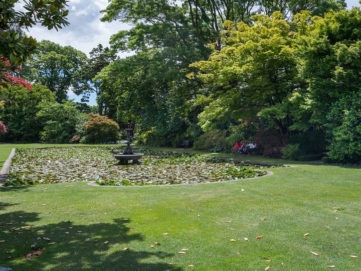 Formal garden with a lily pond, central fountain, and trees on a sunny day