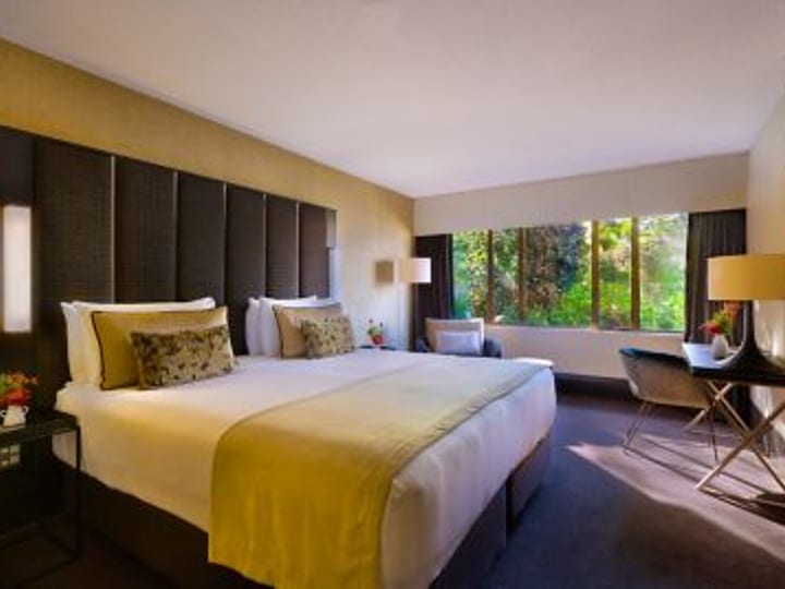 Hotel room with large bed, upholstered headboard, and garden-view window