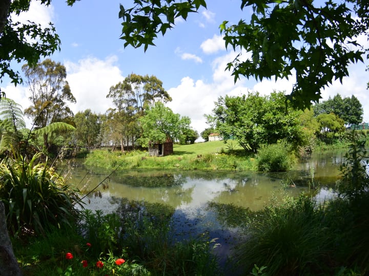 Pond with surrounding lush gardens and trees on a sunny day