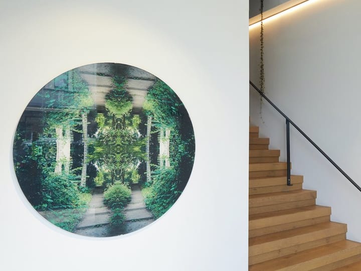 Stairwell with timber steps and two large circular artworks on white walls