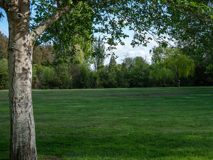 Open grass lawn with trees and picnic tables beside a path