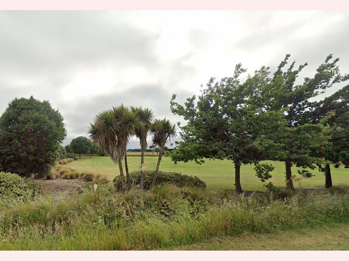 Open grassed reserve with trees and planting, overcast sky