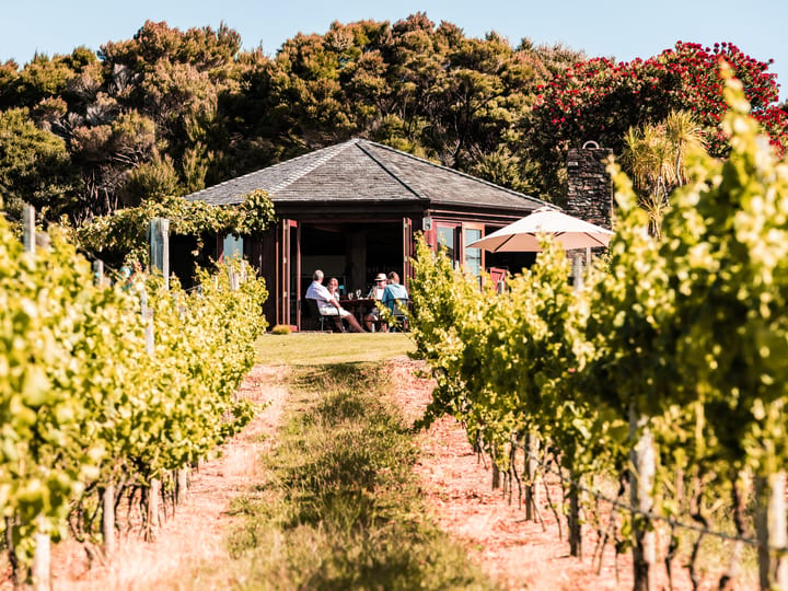 Dark timber pavilion amid vineyard rows with trees beyond, people seated outside under umbrella