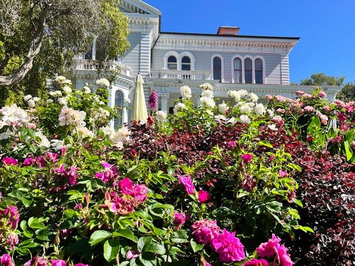 Dense garden border of pink and white blooms with ornate Victorian facade in background