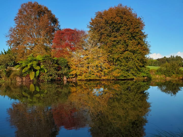 Lake with autumn trees reflected in water