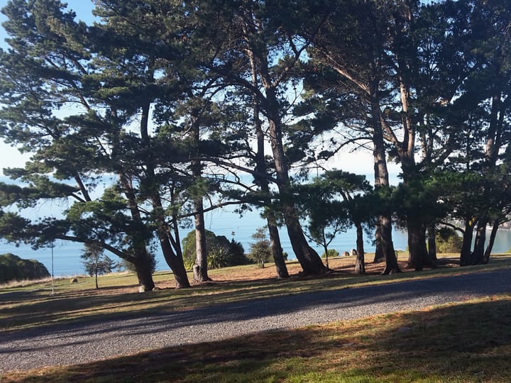 Grassed reserve with trees and ocean view visible in background