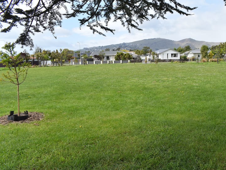 Open suburban park with lawn, young trees and hills in the background