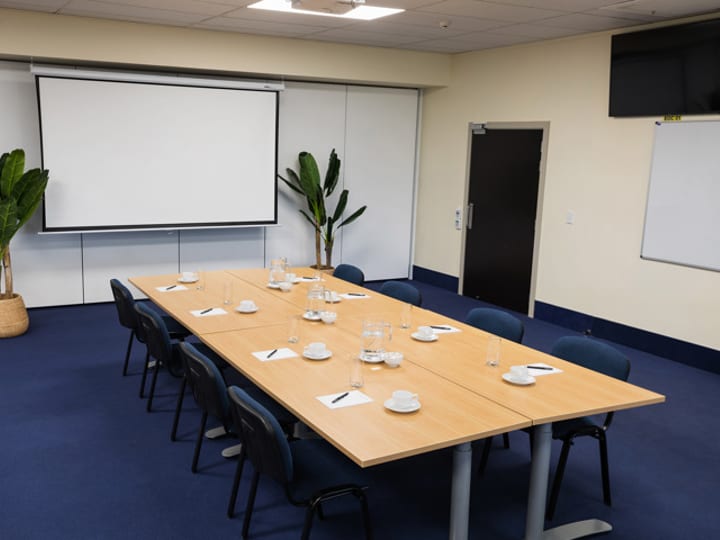 Blue-carpeted meeting room with rectangular table, chairs, projection screen, and two potted plants