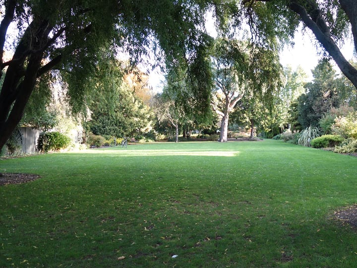Open grass lawn area surrounded by mature trees