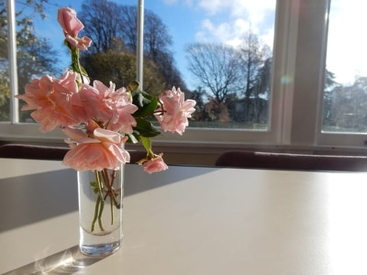 Pink flowers in a glass vase on a table beside a large window overlooking trees