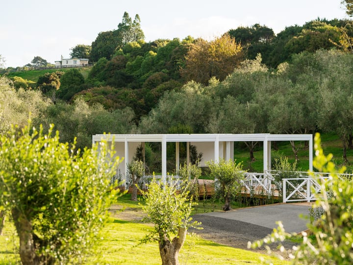White steel-framed pavilion with glazed sides set among trees on a hillside, lawn and path in foreground