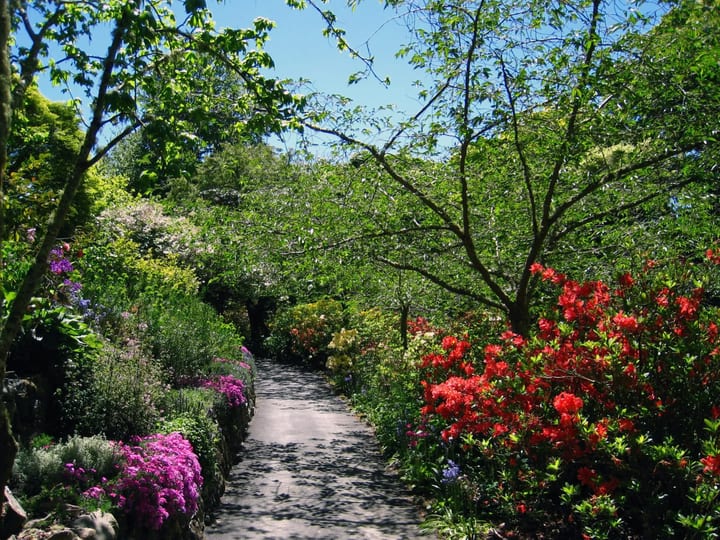 Garden path lined with flowering shrubs and trees in full bloom