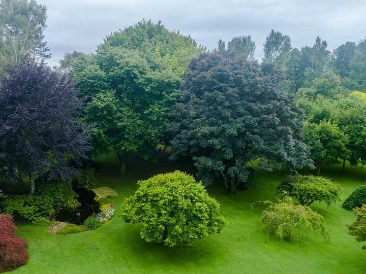 Open lawn with varied mature trees of different colours viewed from above