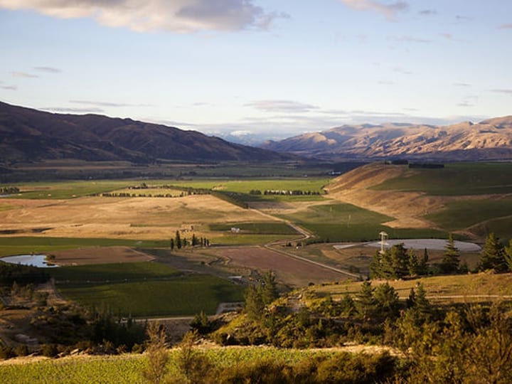 Wide valley landscape with fields, vineyard rows, hills, and distant snow-capped mountains