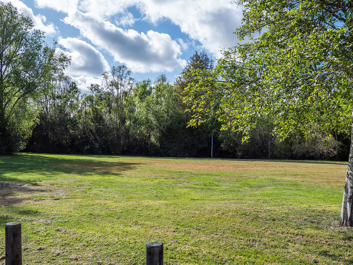 Grassy park clearing with trees and a path at the edge
