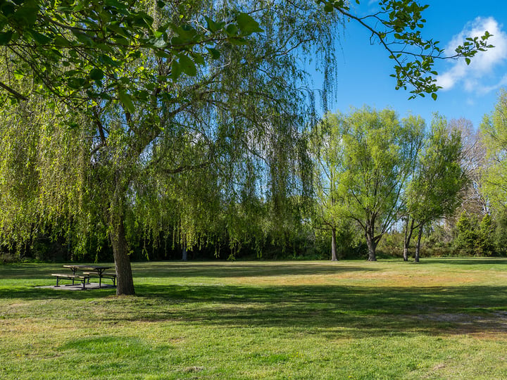 Grassy park area with trees and a picnic bench in dappled shade