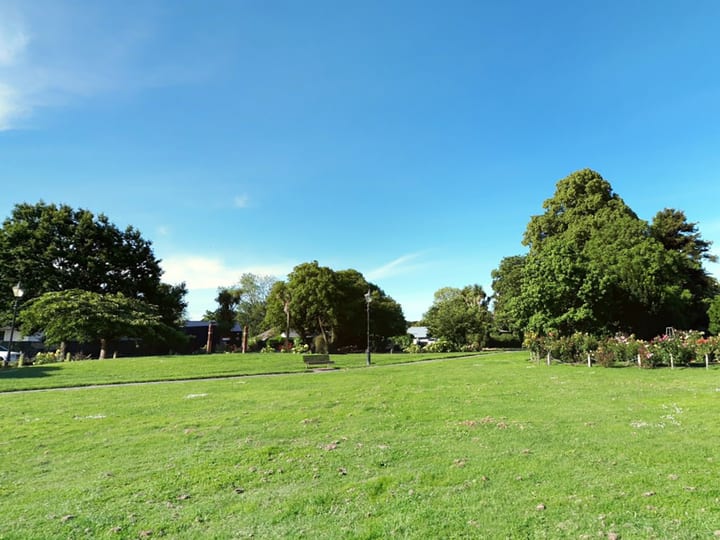 Open park lawn with mature trees and flowering garden bed