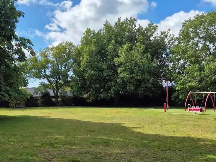 Open grass lawn with playground equipment and mature trees