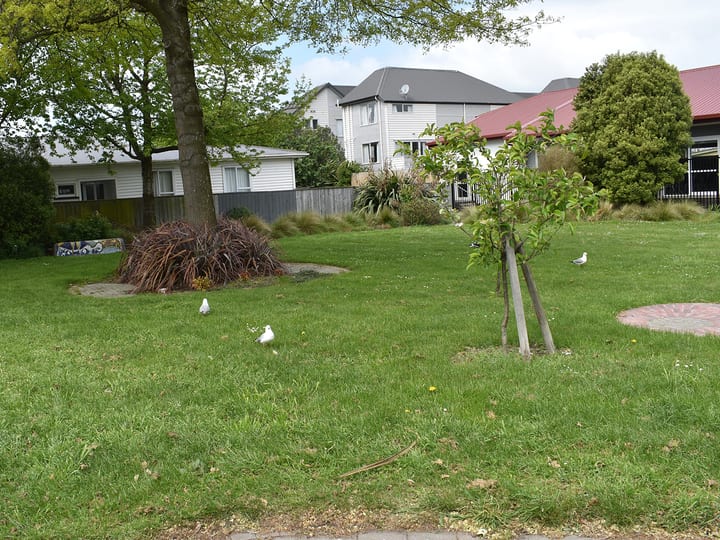Suburban park with lawn, trees and residential buildings nearby