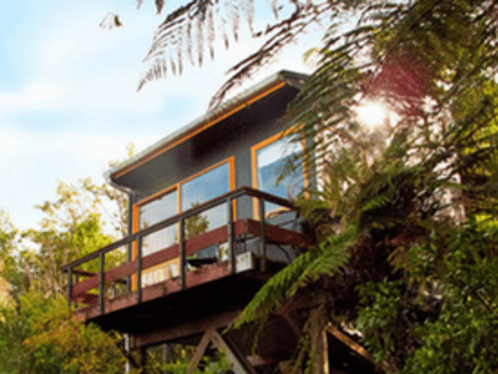 Elevated cabin nestled in dense bush, labelled Accommodation