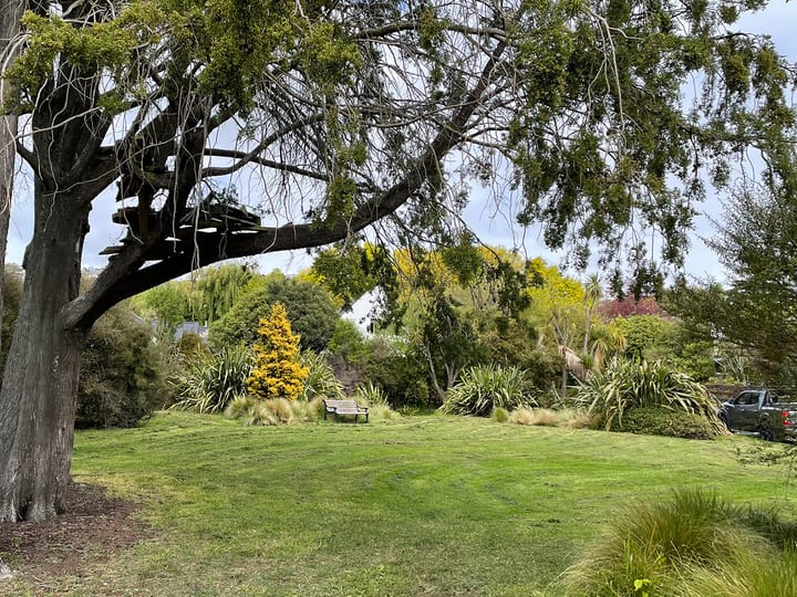 Park lawn with large tree and treehouse structure, native plantings in background