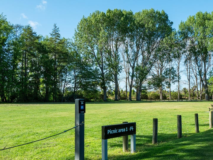 Open grassy clearing surrounded by tall trees in a park