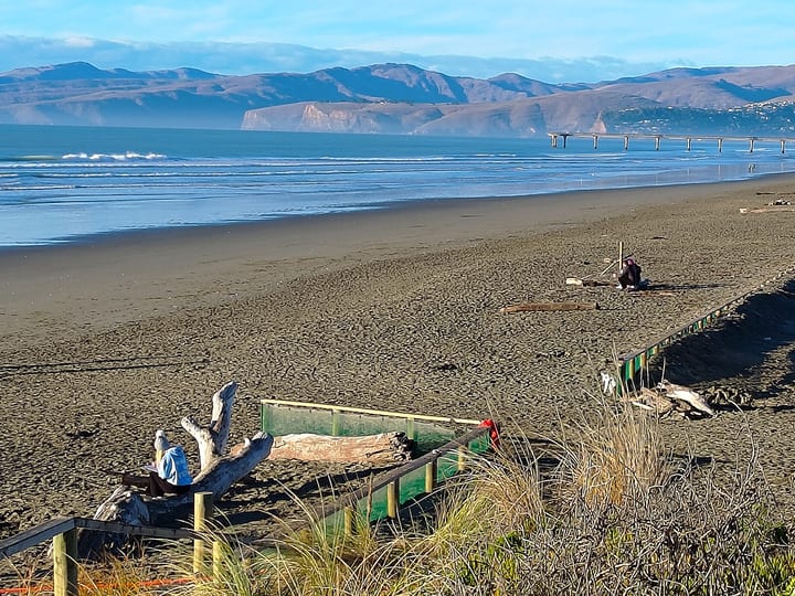 Sandy beach with hills in the background and people walking along the shore