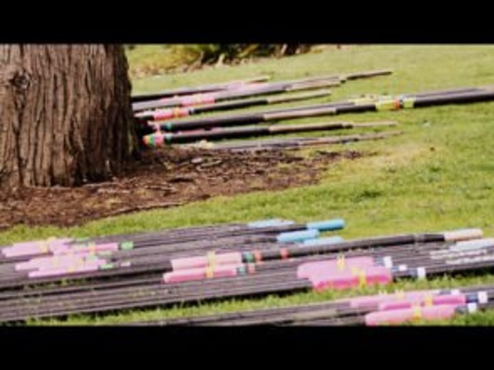 Coloured poles stacked against a tree trunk on a grass area