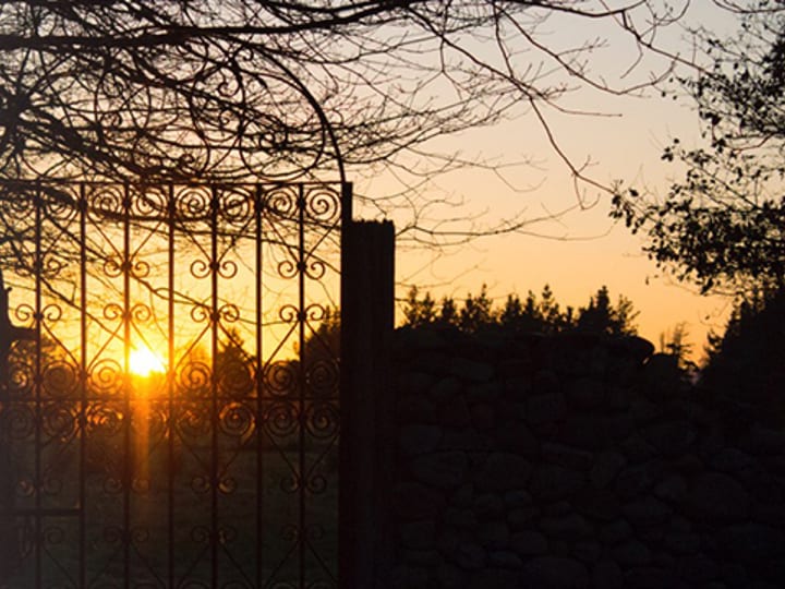 Ornate wrought-iron estate gate silhouetted against a winter sunset