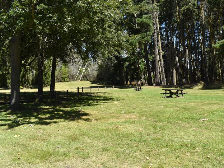 Grassed picnic area with tables set among tall trees