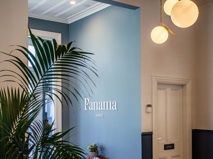 Blue-accented hallway with large potted plant, pendant lights, and view through to white-panelled door