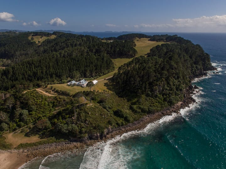 Aerial view of the headland property with buildings among trees above the coastline