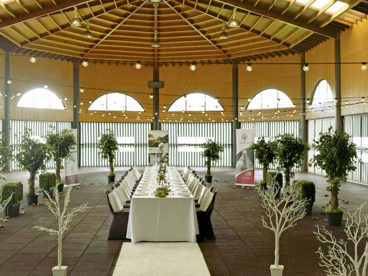 Timber-roofed pavilion set for a long banquet table with festoon lighting and potted trees