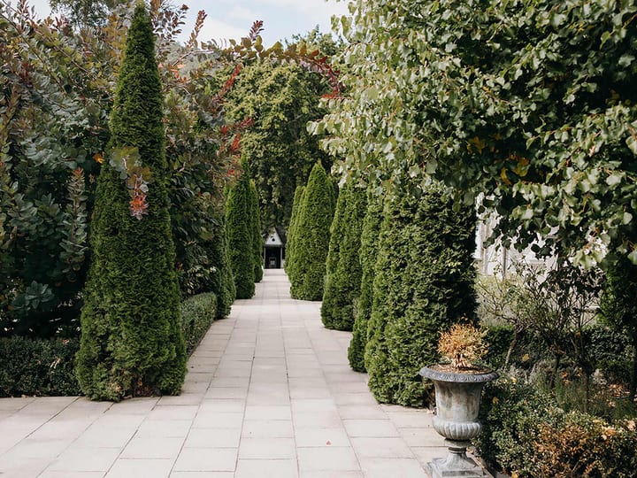 Stone-paved garden path flanked by tall columnar conifers and ornamental planting with an urn