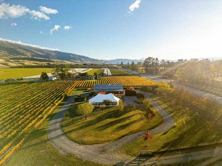 Aerial view of a white event marquee and low building set among autumn vineyards with hills behind