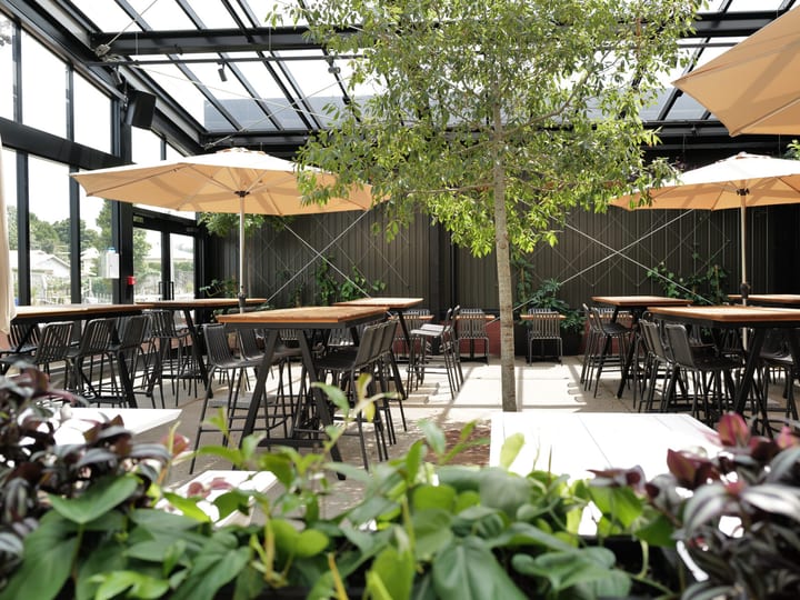 Glass-roofed atrium dining area with timber tables, black chairs and trees growing inside