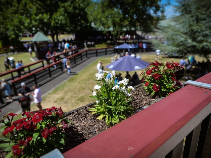 Outdoor deck area overlooking lawns with viewing tower and festival crowd
