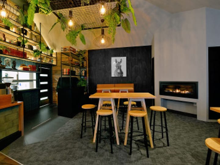 Bar area with pendant lights, hanging plants and timber bar top