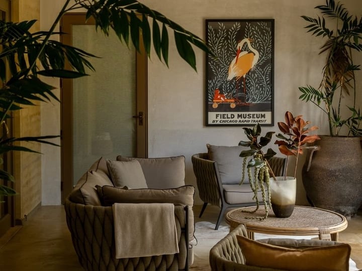 Living room with rattan pendants, neutral sofas and indoor plants