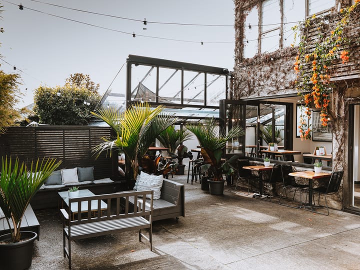 Covered courtyard with outdoor seating, large plants and climbing foliage on walls