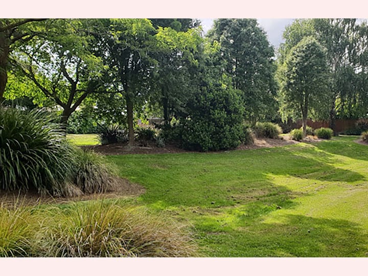 Grassed reserve with trees and mixed planting
