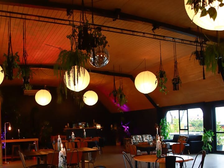 Dark-ceilinged bar venue with hanging plants, globe pendants and timber furniture