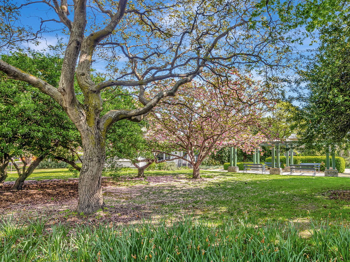 Park garden with mature trees and a pergola structure in the background