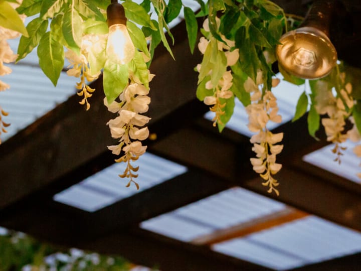 Dark timber pergola beams with hanging foliage and bare filament bulbs at dusk