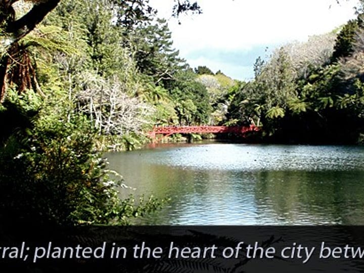 Tree-lined lake with red bridge viewed from foreground foliage, text overlay below