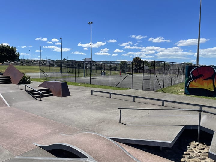 Outdoor skate park with ramps, rails, and sports courts in background